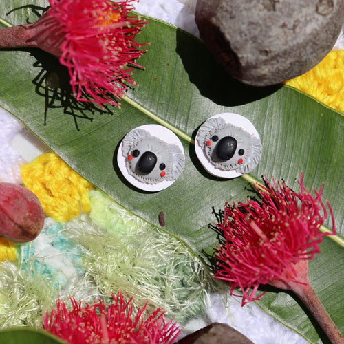 Koala Treats
