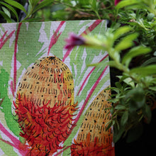 Load image into Gallery viewer, Lush Banksia